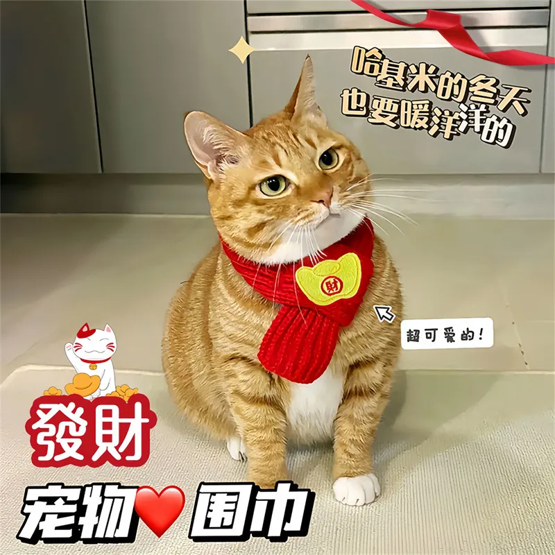 红色小熊醒狮围巾猫咪小熊装饰品宠物元宝围巾可爱狗狗配饰猫项圈